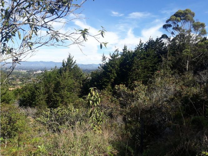 Lote en venta en La Mosquita, Rionegro, 12000 m² · foto 3 de 3