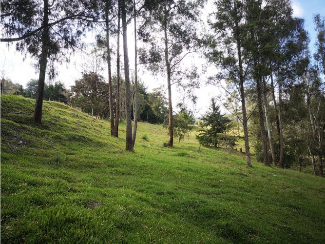 Lote en venta en Los Salados, El Retiro, 22000 m² · foto 7 de 11