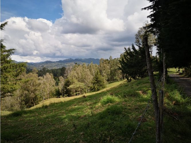 Lote en venta en Los Salados, El Retiro, 22000 m² · foto 8 de 11