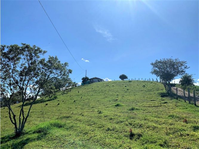 Lote en venta en Alto Grande, El Carmen de Viboral, 7432 m² · foto 2 de 9
