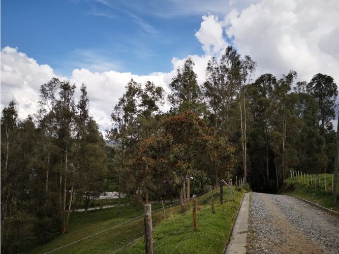 Lote en venta en Los Salados, El Retiro, 22000 m² · foto 11 de 11