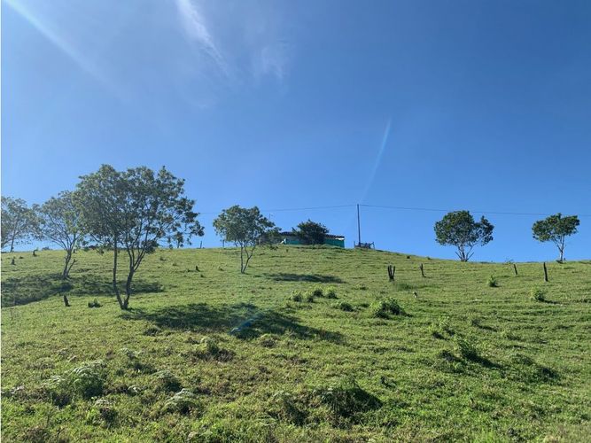 Lote en venta en Alto Grande, El Carmen de Viboral, 7432 m² · foto 3 de 9