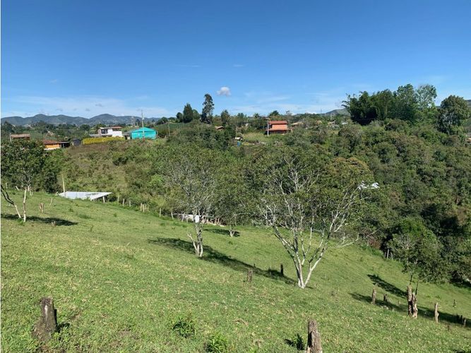 Lote en venta en Alto Grande, El Carmen de Viboral, 7432 m² · foto 6 de 9