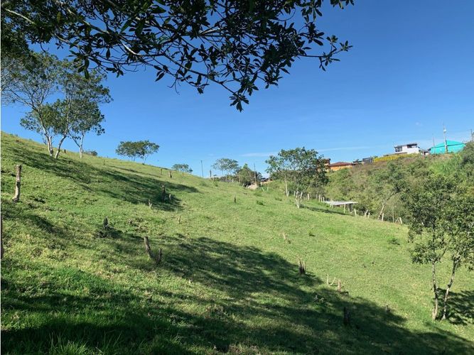 Lote en venta en Alto Grande, El Carmen de Viboral, 7432 m² · foto 7 de 9