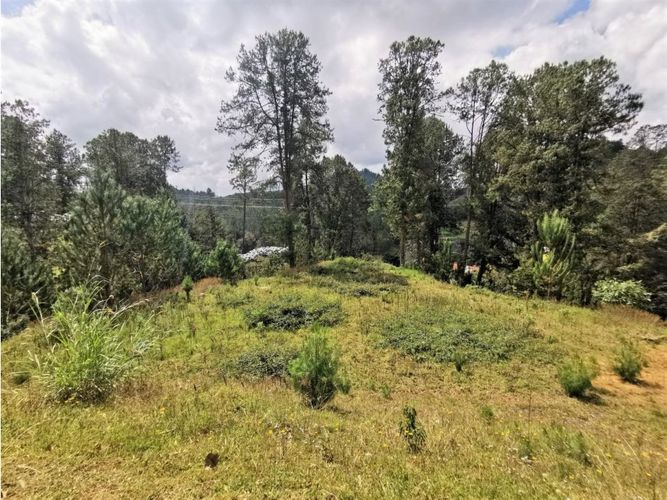 Lote en venta en El Portento, El Retiro, 8234 m² · foto 3 de 8