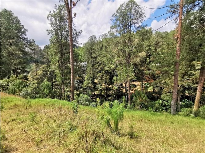 Lote en venta en El Portento, El Retiro, 8234 m² · foto 4 de 8