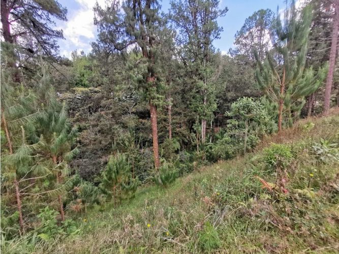 Lote en venta en El Portento, El Retiro, 8234 m² · foto 5 de 8