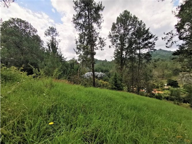 Lote en venta en El Portento, El Retiro, 8234 m² · foto 6 de 8