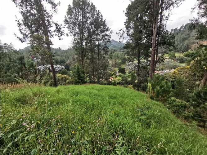 Lote en venta en El Portento, El Retiro, 8234 m² · foto 7 de 8