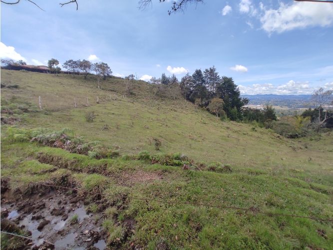 Lote en venta en Llano Grande, Rionegro, 57000 m² · foto 3 de 4