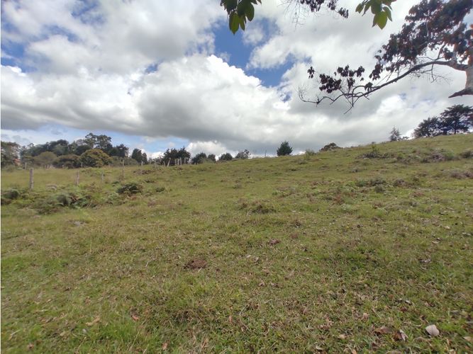 Lote en venta en Llano Grande, Rionegro, 57000 m² · foto 4 de 4