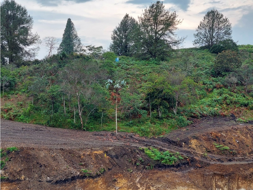 Lote en Venta en San Antonio de Pereira, Rionegro