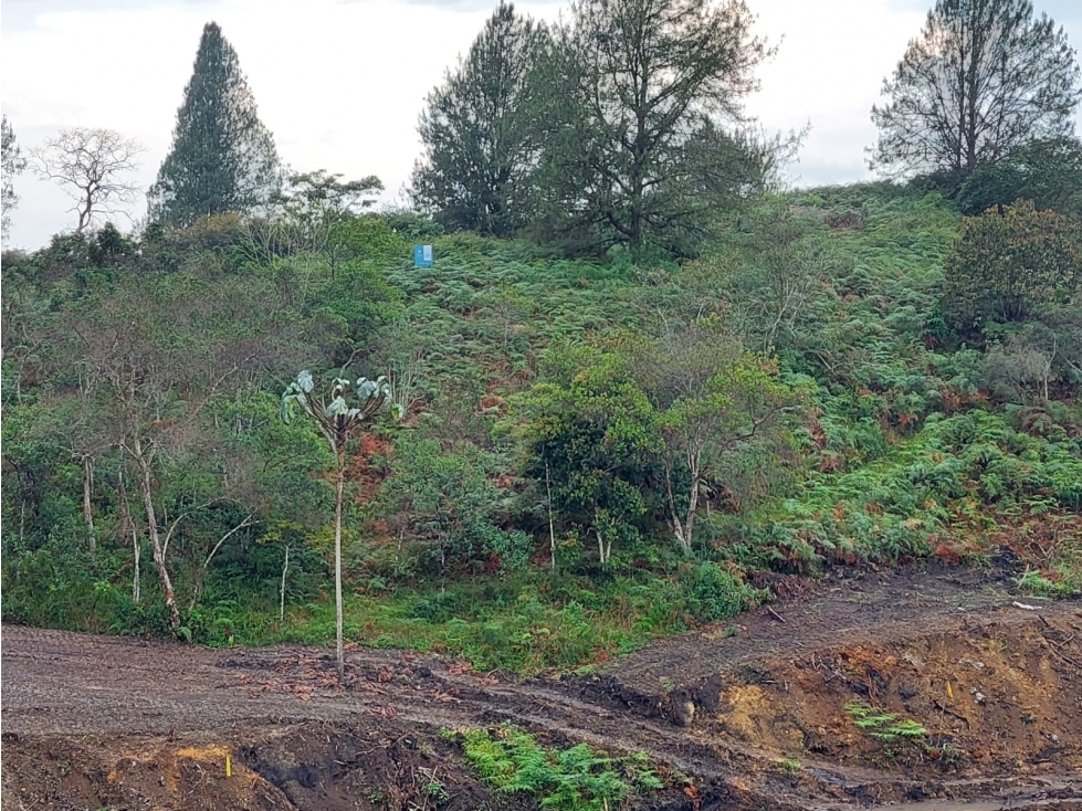 Lote en Venta en San Antonio de Pereira, Rionegro - 2