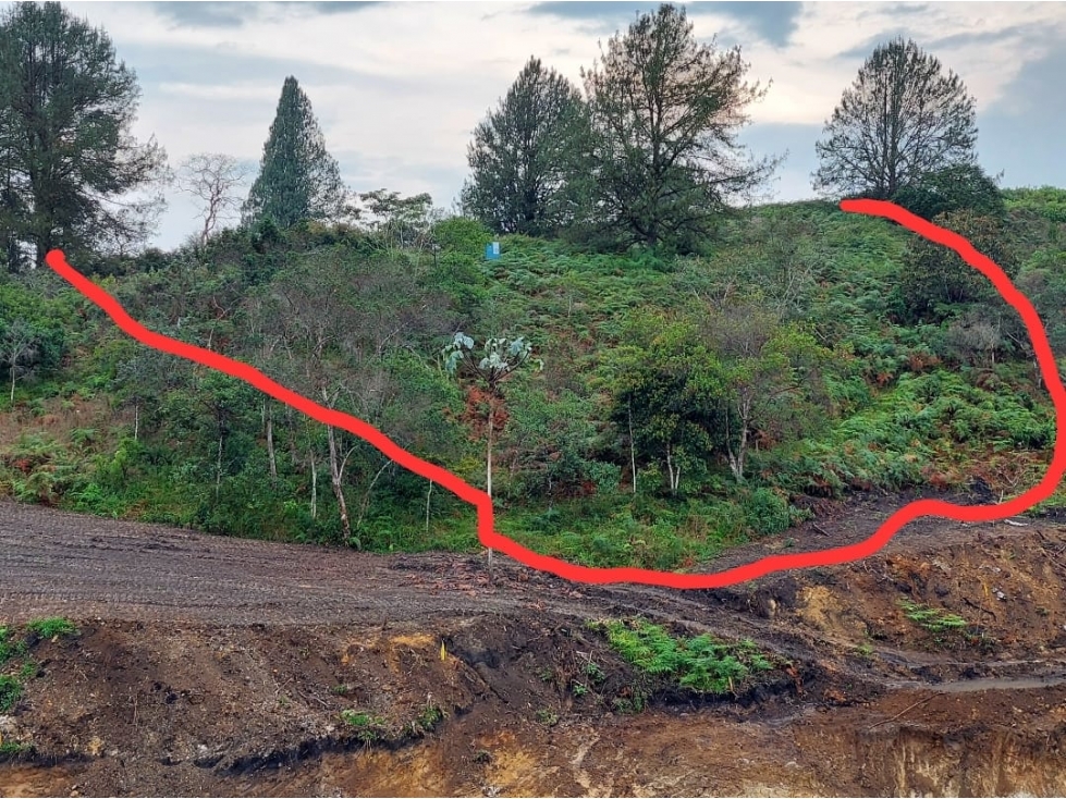 Lote en Venta en San Antonio de Pereira, Rionegro - 3