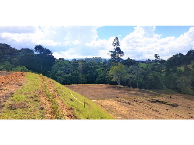Lote en venta en So�Adora, El Carmen de Viboral, 2000 m² · foto 2 de 4
