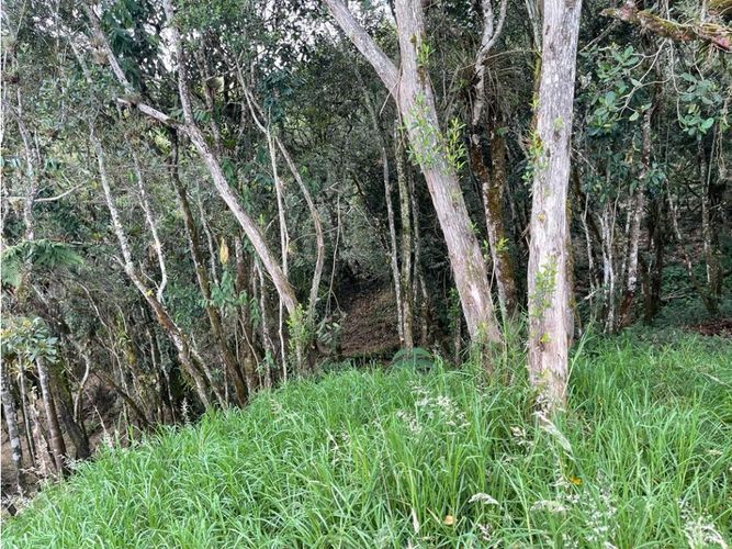 Lote en venta en Las Palmas, Envigado, 3648 m² · foto 6 de 6
