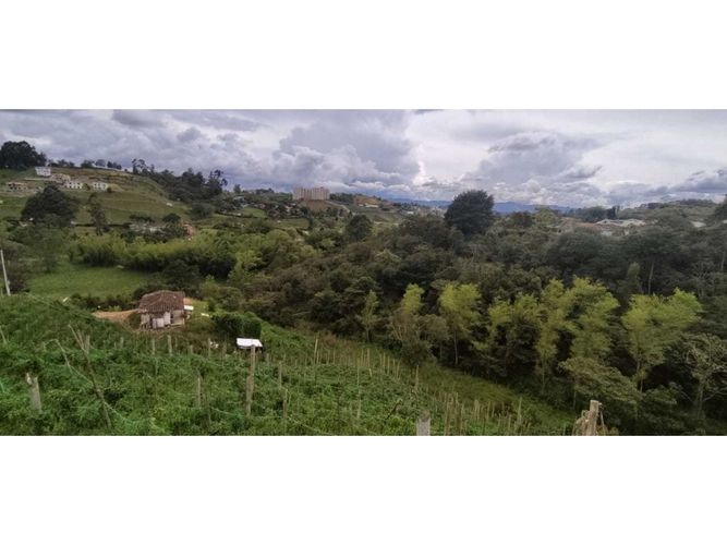 Lote en venta en Potreritos, Marinilla, 20000 m² · foto 2 de 5