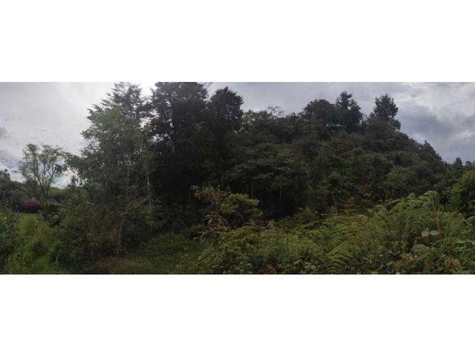 Lote en venta en Potreritos, Marinilla, 20000 m² · foto 4 de 5