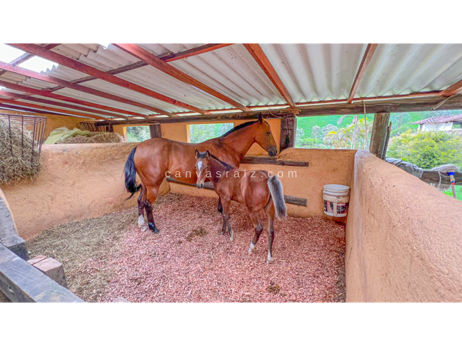 Finca en venta en El Retiro, 1100 m² · foto 13 de 18