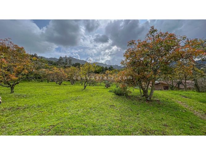 Lote en venta en Sajonia, Rionegro, 4449 m² · foto 2 de 3