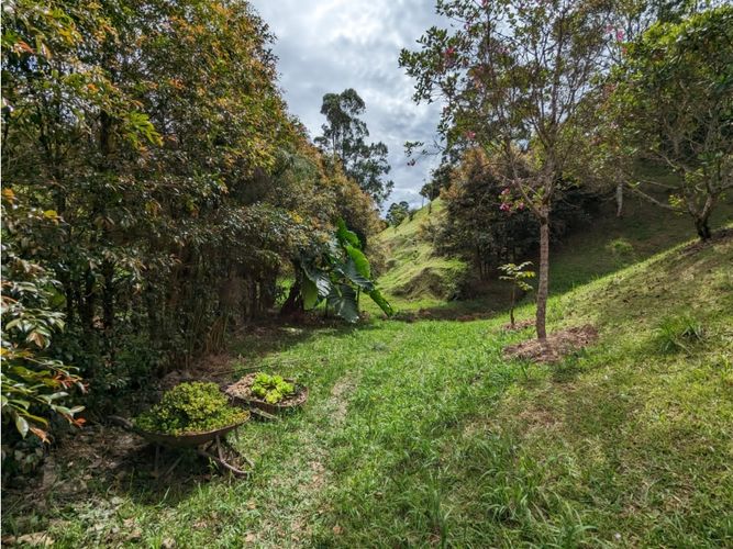 Lote en venta en El Salado, El Carmen de Viboral, 3456 m² · foto 6 de 6