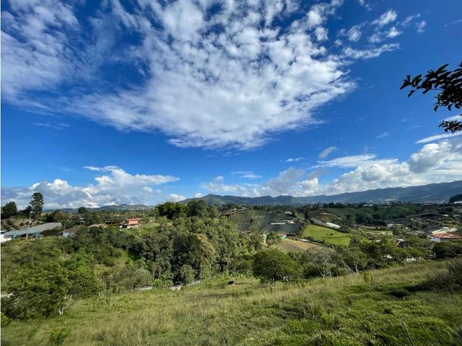 Lote en venta en La Palma, El Carmen de Viboral, 7430 m² · foto 2 de 7
