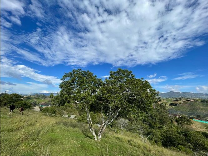 Lote en venta en La Palma, El Carmen de Viboral, 7430 m² · foto 3 de 7