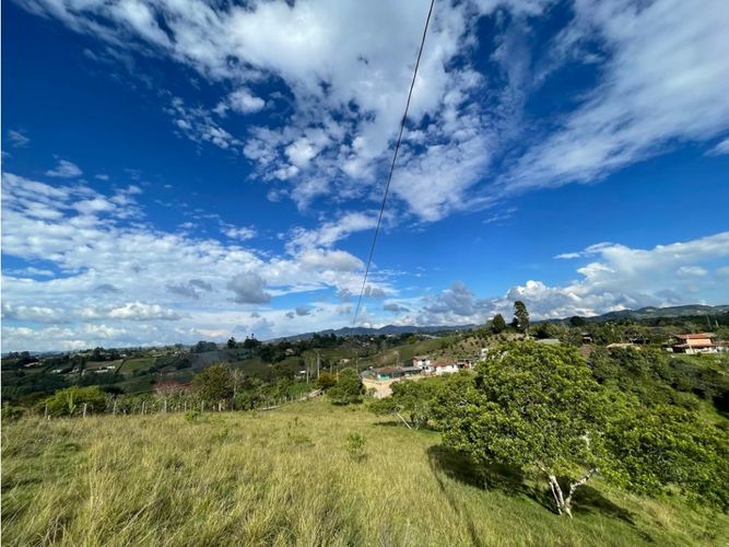 Lote en venta en La Palma, El Carmen de Viboral, 7430 m² · foto 5 de 7