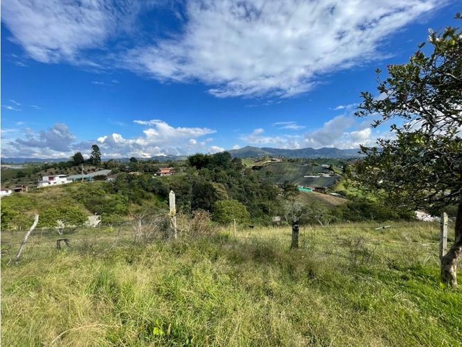 Lote en venta en La Palma, El Carmen de Viboral, 7430 m² · foto 6 de 7
