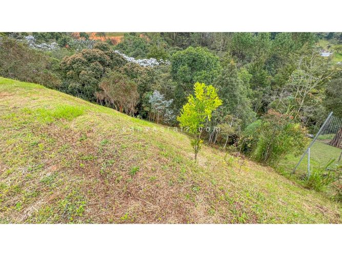 Lote en venta en El Zango, Guarne, 2180 m² · foto 2 de 5