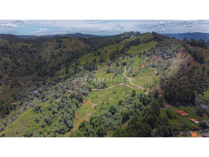Lote en venta en La Convencion, Rionegro · foto 2 de 11