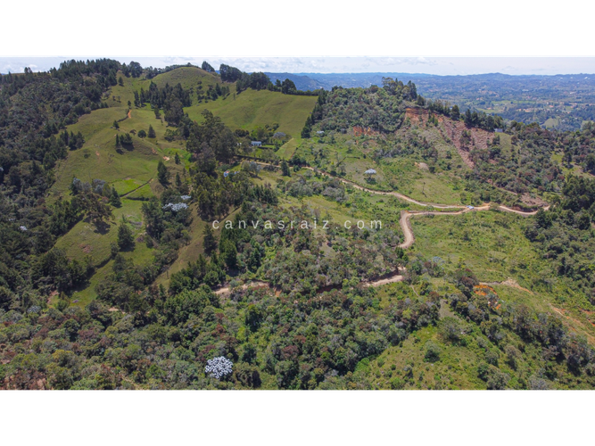 Lote en venta en La Convencion, Rionegro · foto 5 de 11