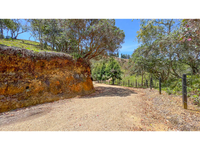Lote en venta en La Convencion, Rionegro · foto 9 de 11