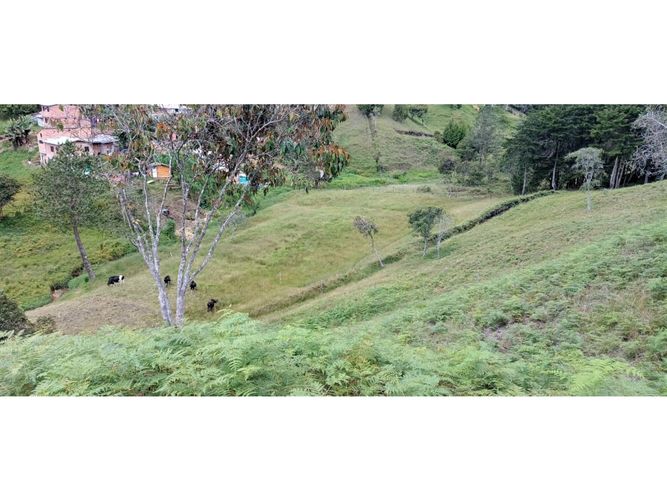 Finca en venta en La Hondita, Guarne, 200 m² · foto 2 de 11