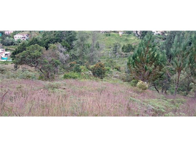 Finca en venta en La Hondita, Guarne, 200 m² · foto 3 de 11