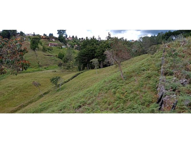 Finca en venta en La Hondita, Guarne, 200 m² · foto 4 de 11