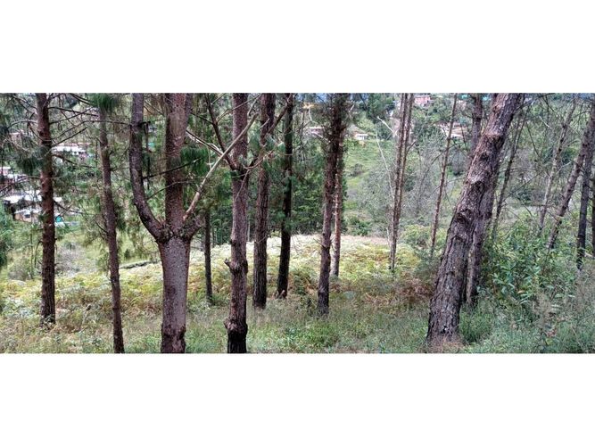 Finca en venta en La Hondita, Guarne, 200 m² · foto 6 de 11