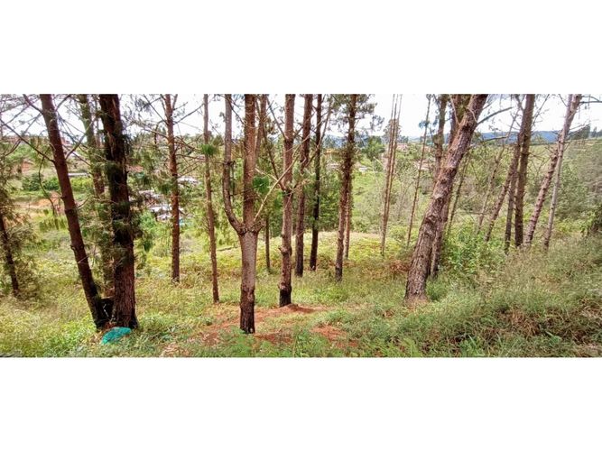 Finca en venta en La Hondita, Guarne, 200 m² · foto 7 de 11