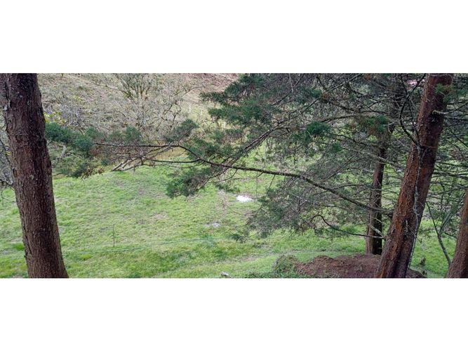 Finca en venta en La Hondita, Guarne, 200 m² · foto 8 de 11