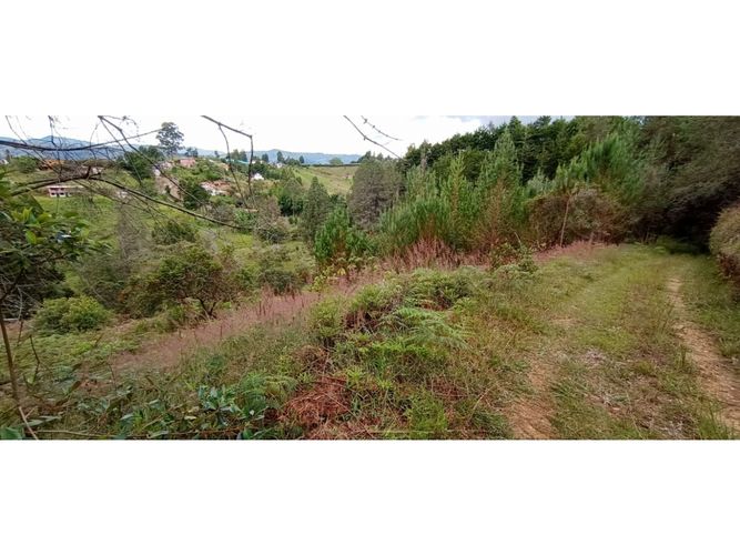 Finca en venta en La Hondita, Guarne, 200 m² · foto 10 de 11