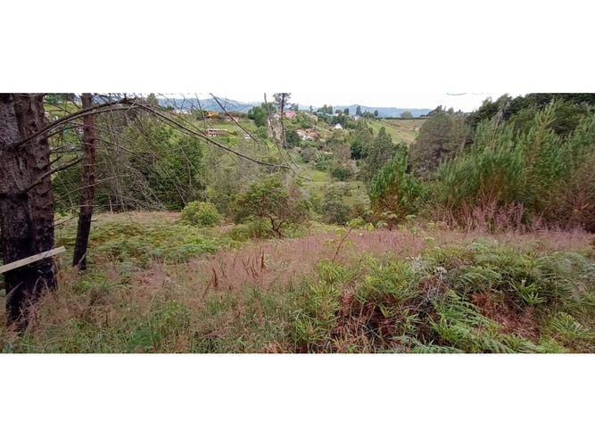 Finca en venta en La Hondita, Guarne, 200 m² · foto 11 de 11