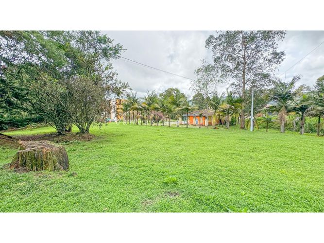 Lote en venta en Campo Alegre, El Carmen de Viboral, 11332 m² · foto 3 de 6