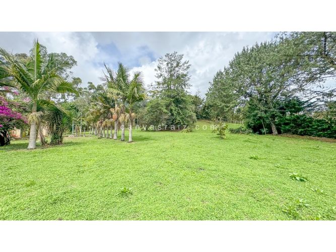 Lote en venta en Campo Alegre, El Carmen de Viboral, 11332 m² · foto 4 de 6