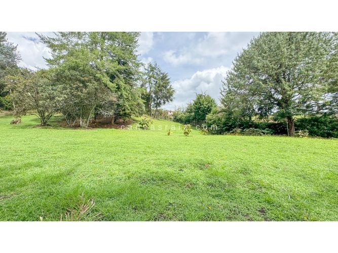 Lote en venta en Campo Alegre, El Carmen de Viboral, 11332 m² · foto 5 de 6