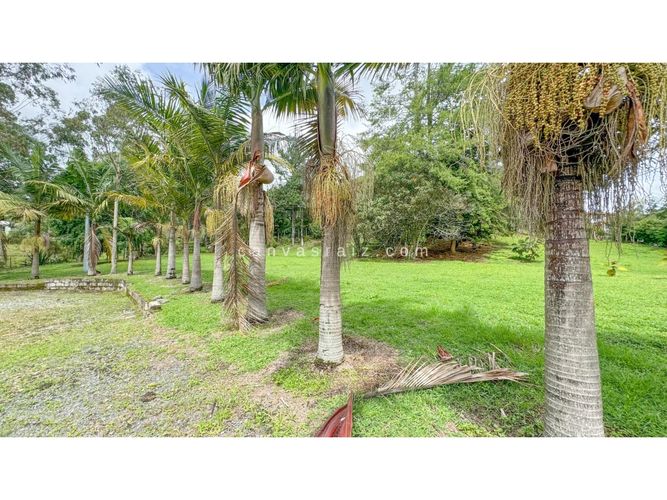 Lote en venta en Campo Alegre, El Carmen de Viboral, 11332 m² · foto 6 de 6