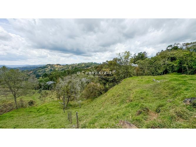 Lote en venta en La Convencion, Rionegro, 25600 m² · foto 3 de 4