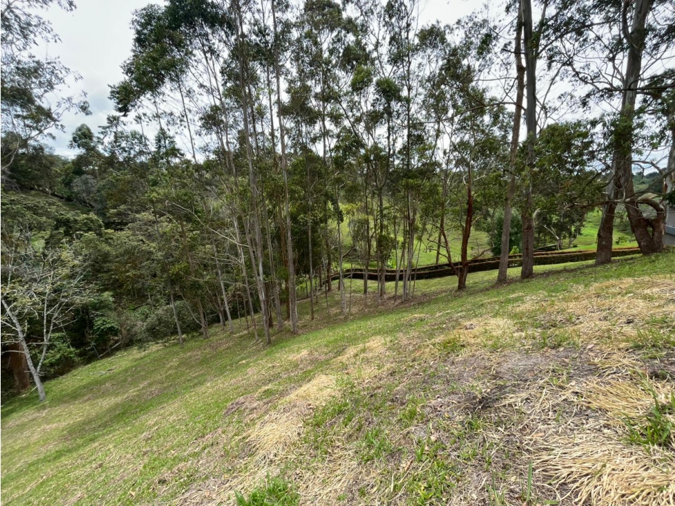Lote en venta en Quirama, El Carmen de Viboral, 4392 m² · foto 2 de 2
