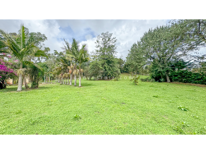 Lote en venta en La Maria, El Carmen de Viboral, 160 m² · foto 5 de 10