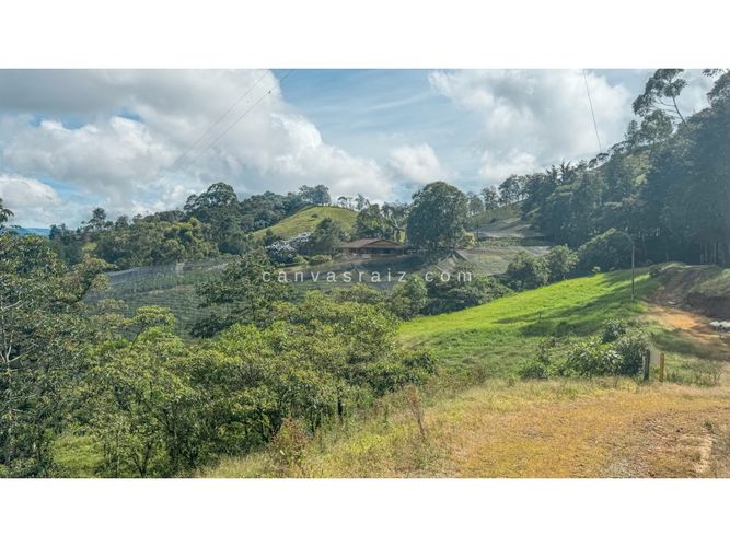 Finca en venta en Lejos Del Nido, El Retiro, 800 m² · foto 3 de 13