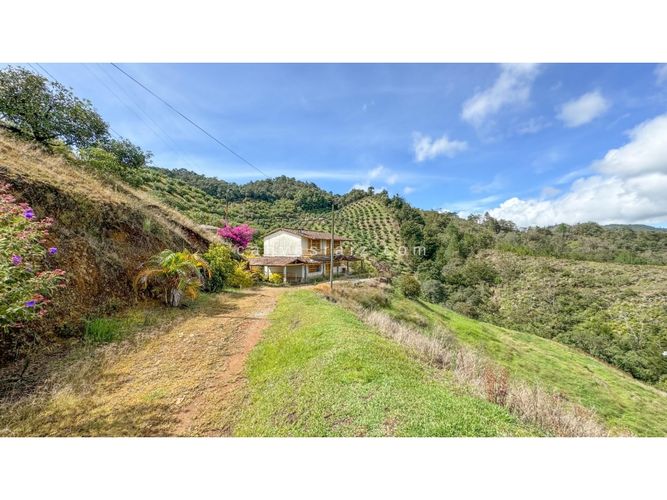 Finca en venta en Lejos Del Nido, El Retiro, 800 m² · foto 5 de 13